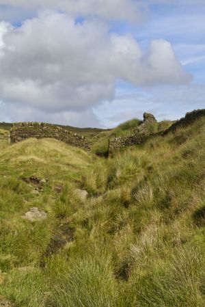 haworth colne moor portrait shot 1 sm.jpg